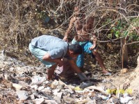 /album/galeria-de-fotos/a100-9601-jpg/